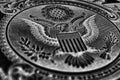 1 US dollar. Fragment of banknote. Reverse of bill with the Great Seal. The bald eagle is the national symbol. Black and white Royalty Free Stock Photo