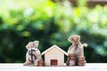 US dollar in a money bag, small residential, house model on table. Royalty Free Stock Photo