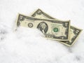 US dollar in the snow. Two dollar bills. Financial concept Royalty Free Stock Photo