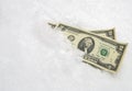 US dollar in the snow. Two dollar bills. Financial concept Royalty Free Stock Photo