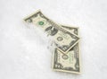 US dollar in the snow. Two dollar bills. Financial concept Royalty Free Stock Photo