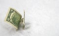 US dollar in the snow. Two dollar bills. Financial concept Royalty Free Stock Photo