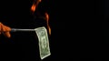 US Dollars that are burned for scientific purposes. Burn money without damage