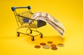 US dollars and coins in a trolley or shopping basket in a supermarket. Concept of shopping, discounts, online shopping, consumer