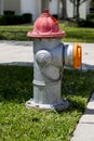 US fire hydrant Royalty Free Stock Photo