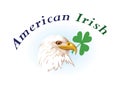 US & Irish emblems