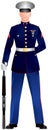 US Marine Corp Blue Dress Uniform Royalty Free Stock Photo