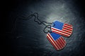 US military dog tags in the shape of the American flag. Memorial Day for Veterans Day Royalty Free Stock Photo