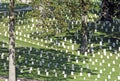 US Military National Cemetery. Royalty Free Stock Photo