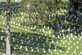 US Military National Cemetery.