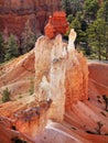 US National Parks, Bryce Canyon National Park Royalty Free Stock Photo