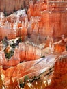 US National Parks, Bryce Canyon National Park, Utah Royalty Free Stock Photo