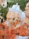 US National Parks, Bryce Canyon National Park, Utah Royalty Free Stock Photo