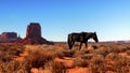 US National Parks, Utah Arizona, Monument Valley Royalty Free Stock Photo