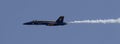 US Navy Blue Angel