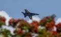 US Navy Blue Angels aircraft in flight Royalty Free Stock Photo