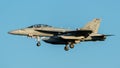 US Navy Boeing EA-18G Growler