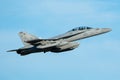 US Navy Boeing EA-18G Growler