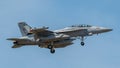 US Navy Boeing EA-18G Growler