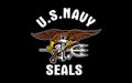 US Navy Seals flag, United States of America