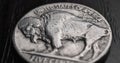 US nickel. Coin 5 five cents close up. Black and white stories with American bison. Buffalo nickel. News about USA economy and Royalty Free Stock Photo