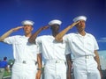 US sailors saluting Royalty Free Stock Photo