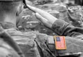 US soldier salute. US army. US troops Royalty Free Stock Photo