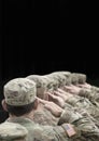 US soldiers salute. Military of USA. United States Army. Veterans Day. Empty space for text