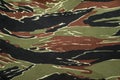 US vietnam green tigerstripe camouflage fabric texture background Royalty Free Stock Photo