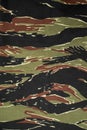 US vietnam green tigerstripe camouflage fabric texture background Royalty Free Stock Photo