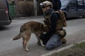 US volunteer soldier feeds a dog