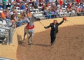 USA, Arizona: Arabian Horse Show - Winners Royalty Free Stock Photo