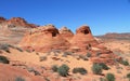 USA, Arizona/Coyote Buttes North: Trail to The Wave - Bizarre Buttes