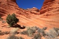 USA, Arizona: Coyote Buttes South - Sculpted Sandstone Layers