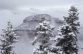 USA Arizona Grand Canyon North Rim in snow Royalty Free Stock Photo