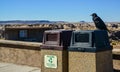 USA, ARIZONA- NOVEMBER 18, 2019: Common Raven on a wall in Arizona`s Petrified Forest National Park, AZ