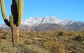 Arizona, Winter in the Sonoran Desert: Snow on Four Peaks Royalty Free Stock Photo