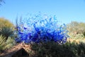 USA, Phoenix/Arizona: Chihuly Exhibit - Blue Fiori Sun, 2013 Royalty Free Stock Photo