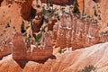 USA - Bryce canyon