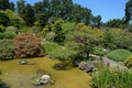 USA California May 2023 Hakone Estate and Gardens in Saratoga shore of a pond with diverse vegetation Royalty Free Stock Photo