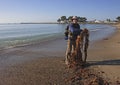 USA, California - November 24, 2009: A pile of giant kelp Macrocystis pyrifera on the beach Royalty Free Stock Photo