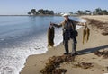 USA, California - November 24, 2009: A pile of giant kelp Macrocystis pyrifera on the beach Royalty Free Stock Photo