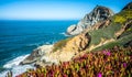 USA California pacific ocean coast shoreline