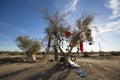 USA - California - Slab City Royalty Free Stock Photo