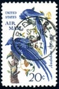 USA - CIRCA 1967: stamp 20 cents printed by USA, shows animal Audubon - Black-throated Magpie-jay Calocitta colliei, circa 1967