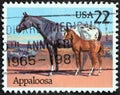 USA - CIRCA 1985: A stamp printed in USA from the `Horses` issue shows Appaloosa horses, circa 1985.