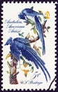 USA - CIRCA 1967: A stamp printed in USA shows Columbia Jays by John James Audubon, circa 1967.