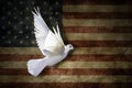 Old USA flag , Dove of peace patriot Independence Day