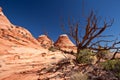 USA - coyote buttes - the wave formation Royalty Free Stock Photo