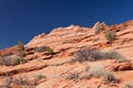 USA - coyote buttes - the wave formation Royalty Free Stock Photo